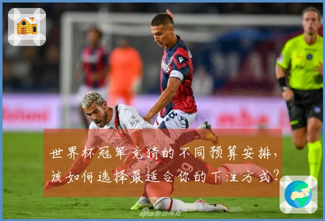 世界杯冠军竞猜的不同预算安排，该如何选择最适合你的下注方式？