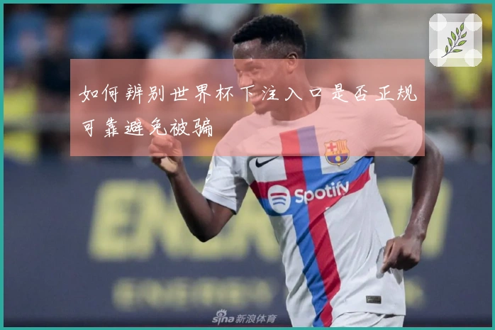 如何辨别世界杯下注入口是否正规可靠避免被骗