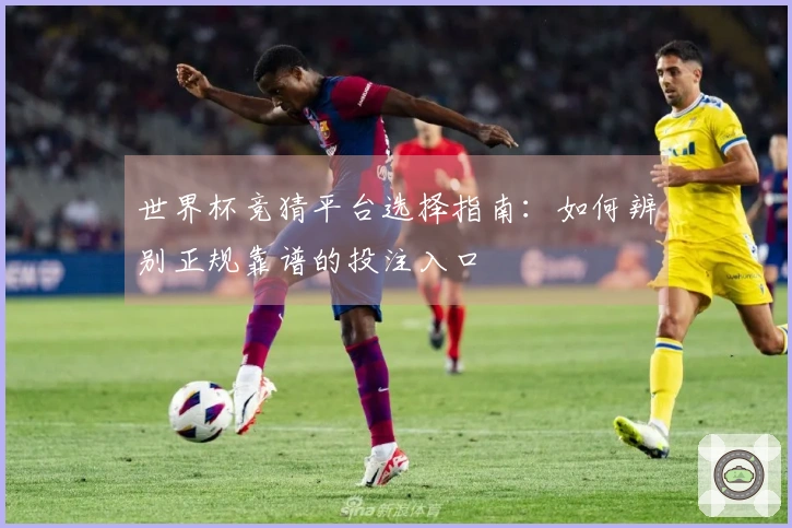 世界杯竞猜平台选择指南：如何辨别正规靠谱的投注入口