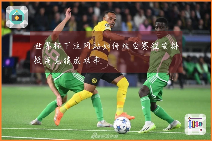 世界杯下注网站如何结合赛程安排提高竞猜成功率