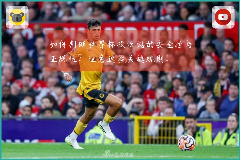如何判断世界杯投注站的安全性与正规性？注意这些关键规则！