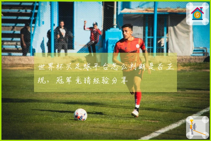 世界杯买足球平台怎么判断是否正规，冠军竞猜经验分享