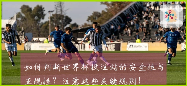 如何判断世界杯投注站的安全性与正规性？注意这些关键规则！