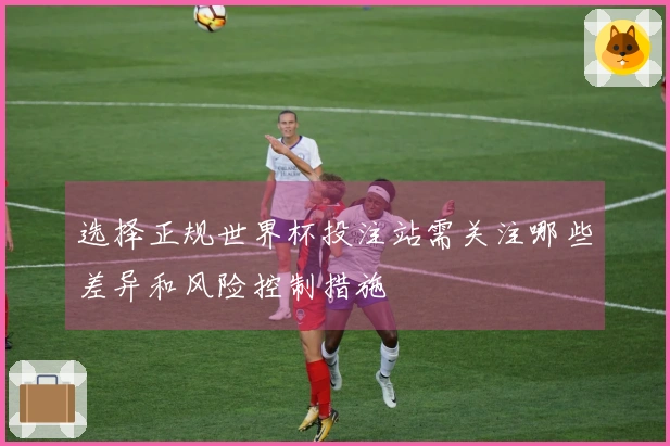 选择正规世界杯投注站需关注哪些差异和风险控制措施