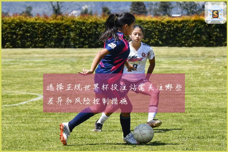 选择正规世界杯投注站需关注哪些差异和风险控制措施