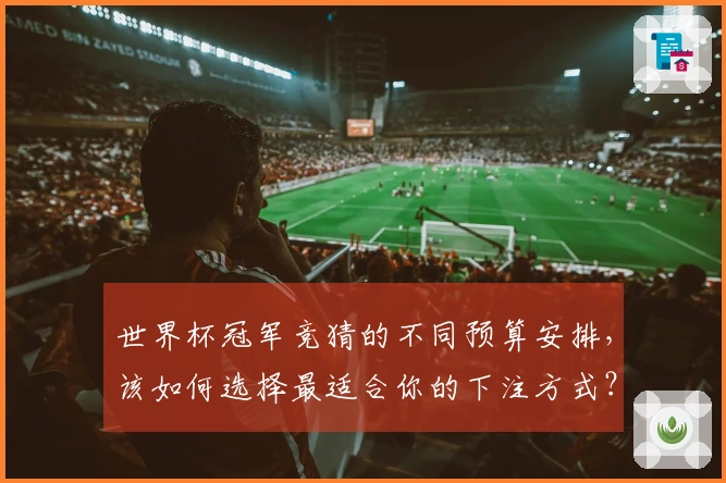 世界杯冠军竞猜的不同预算安排，该如何选择最适合你的下注方式？